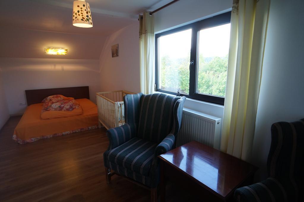 Hotel Casa Paltinu à Lunca Mare Chambre photo