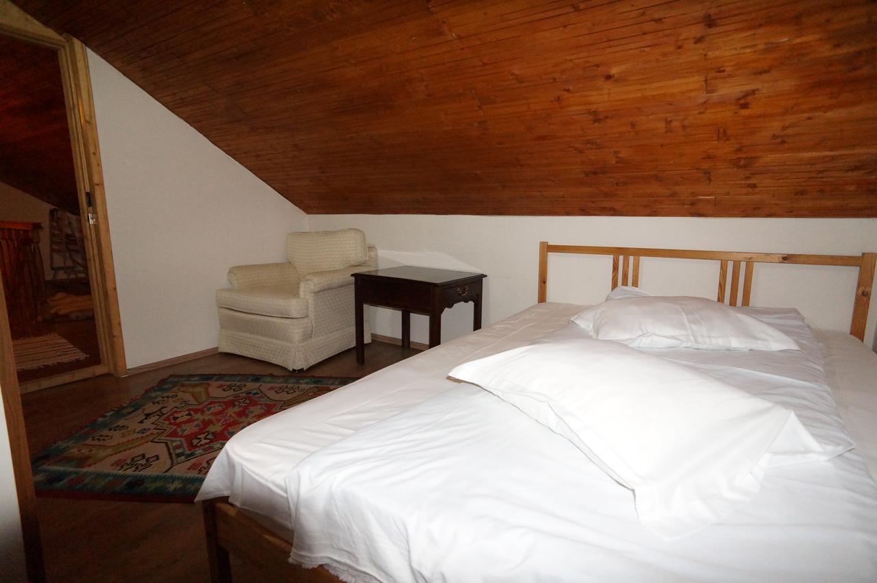 Hotel Casa Paltinu à Lunca Mare Extérieur photo